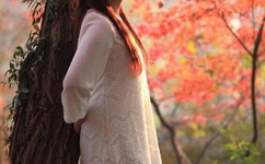 黄仁勋个人资料简介图片